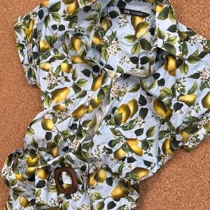 Zara Lemon-Print Button-Front Dress — Light Blue, Yellow & Green